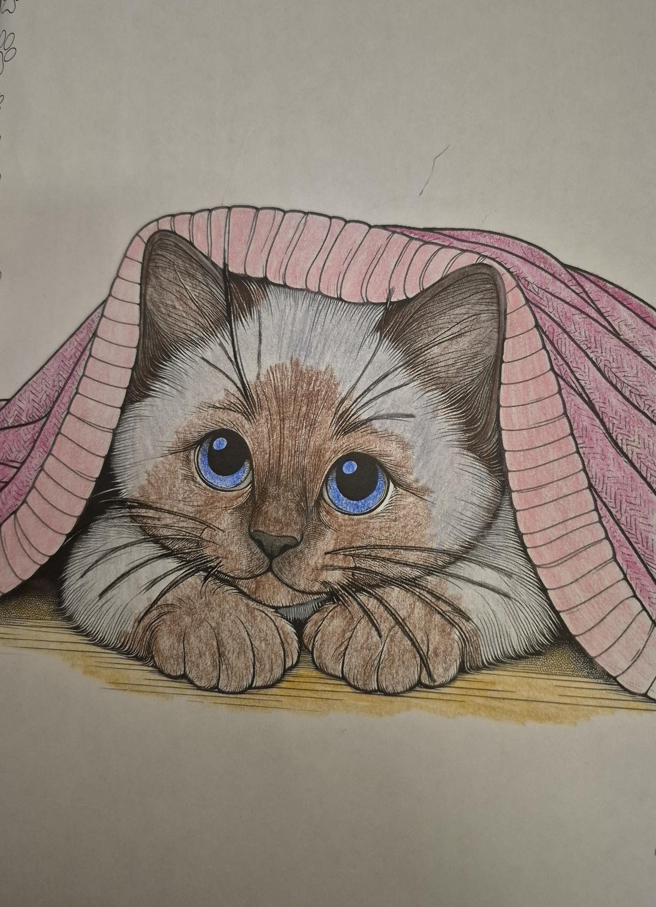 Kitten Bundle, 30 Pages Printable Cat Animal Coloring for Kids & Adults ...