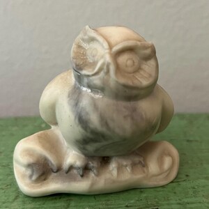 May include: A small, ceramic owl figurine in shades of cream and gray. The owl is perched on a branch, with detailed feathers and large eyes. The figurine is set against a green, weathered wooden surface.