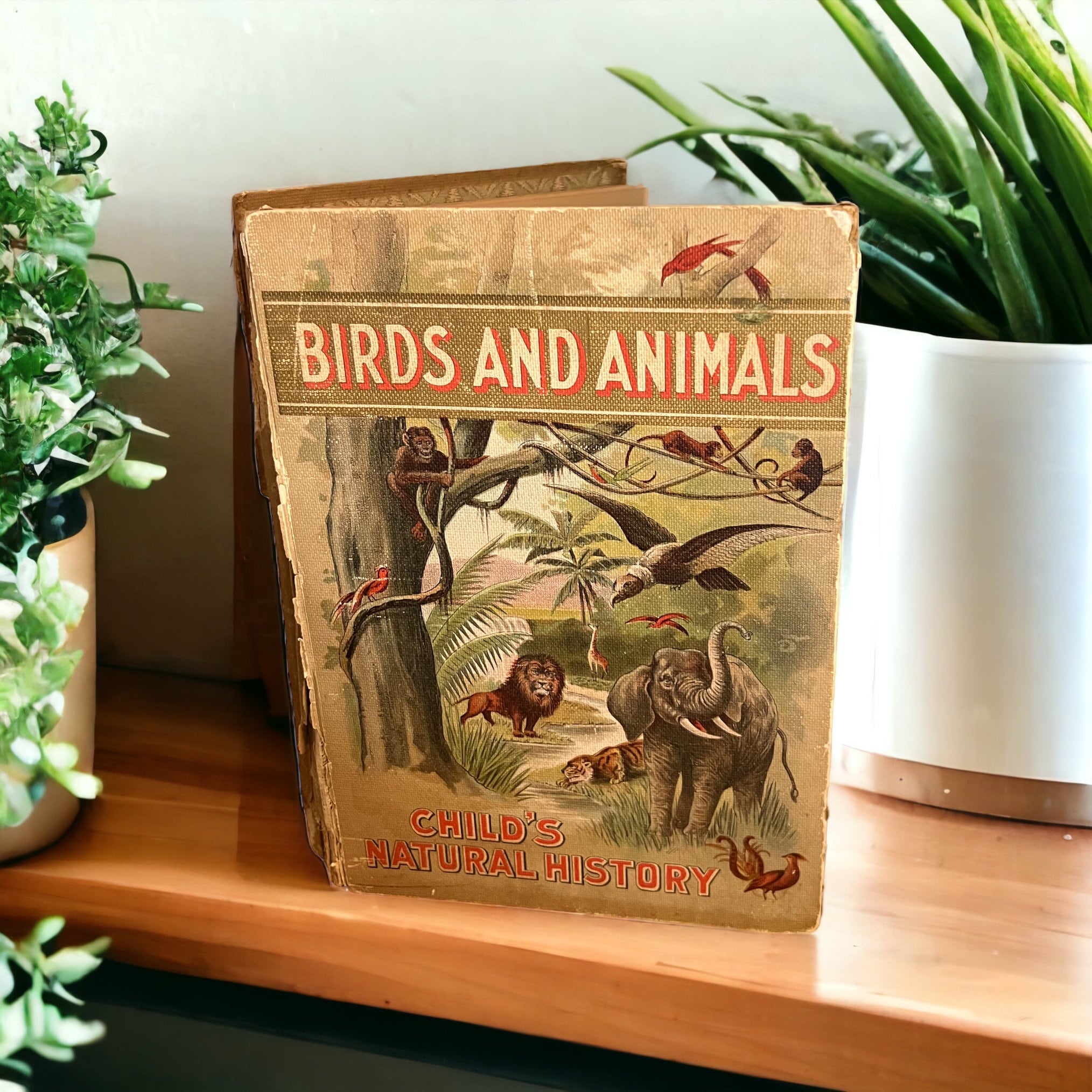1898 Birds and Animals Child's Natural History. Henry Davenport Northrop. Antique Childrens Science Book Antique Classic Book. Old Ephemera
