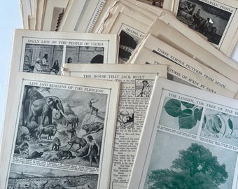 100 Antique Book Page Prints. c1912- Ephemera. Lithographs, Engravings, Graphics, Crafting, Scrapbooking, Bulk #8