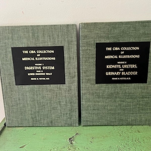 Może przedstawiać: Dwa zabytkowe podręczniki medyczne z "The Ciba Collection of Medical Illustrations". Książki mają zielone okładki z czarnymi etykietami. Jeden dotyczy układu pokarmowego, drugi nerek, moczowodów i pęcherza moczowego.