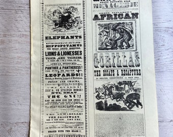 Cirque Molier & Wombwells Circus Poster. Vintage Ephemera Poster to Frame 16x11." 1970s Printing of 1900 / 1895 Original Litho. French