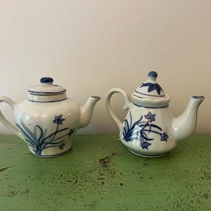 Può includere: Due teiere in ceramica bianca con disegni floreali blu. Le teiere hanno coperchi e beccucci. Una teiera ha una forma arrotondata, mentre l'altra ha un design più angolare. Sono su una superficie verde.