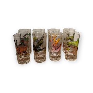 Set of Bird Drinking Glasses. 8 Vintage MCM Glass Gamebird Hi-Ball Drinking Glasses. 2 of Each Pattern. Geese, Pheasant, Duck