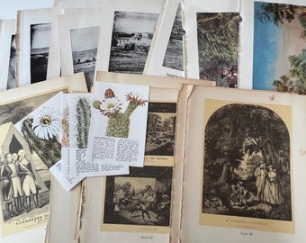 100 Antique Book Page Prints. 1800s-1900s Ephemera. Lithographs, Engravings, Graphics, Crafting, Scrapbooking, Bulk #11