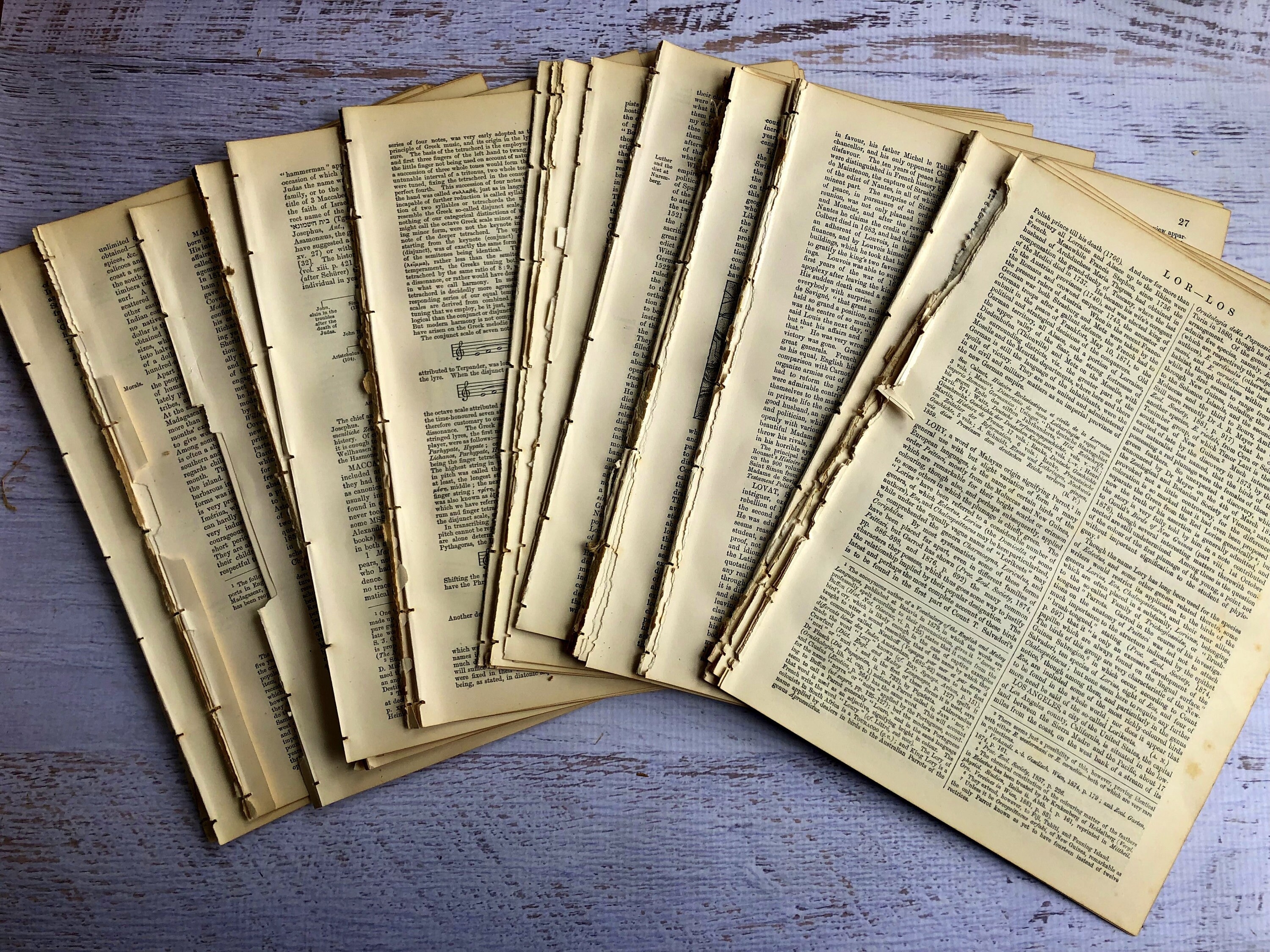 Vintage Book Page Bundle. 100 Old Book Pages. Beautiful Etsy Canada