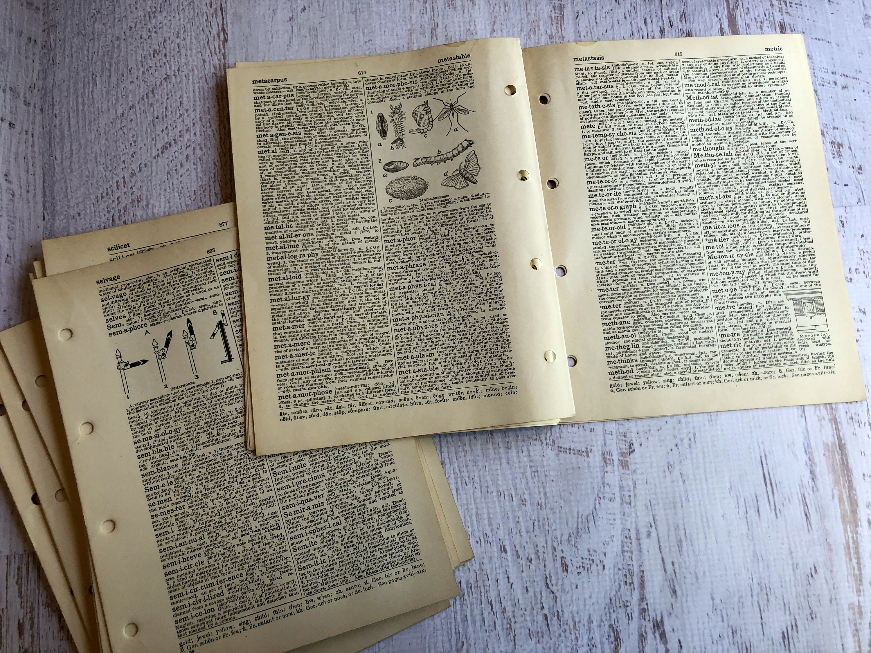 100 páginas de libros antiguos. Paquete de páginas de libros Etsy