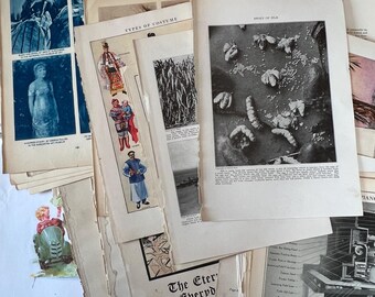 100 Antique Book Page Prints. 1800s-1900s Ephemera. Lithographs, Engravings, Graphics, Crafting, Scrapbooking, Bulk #17