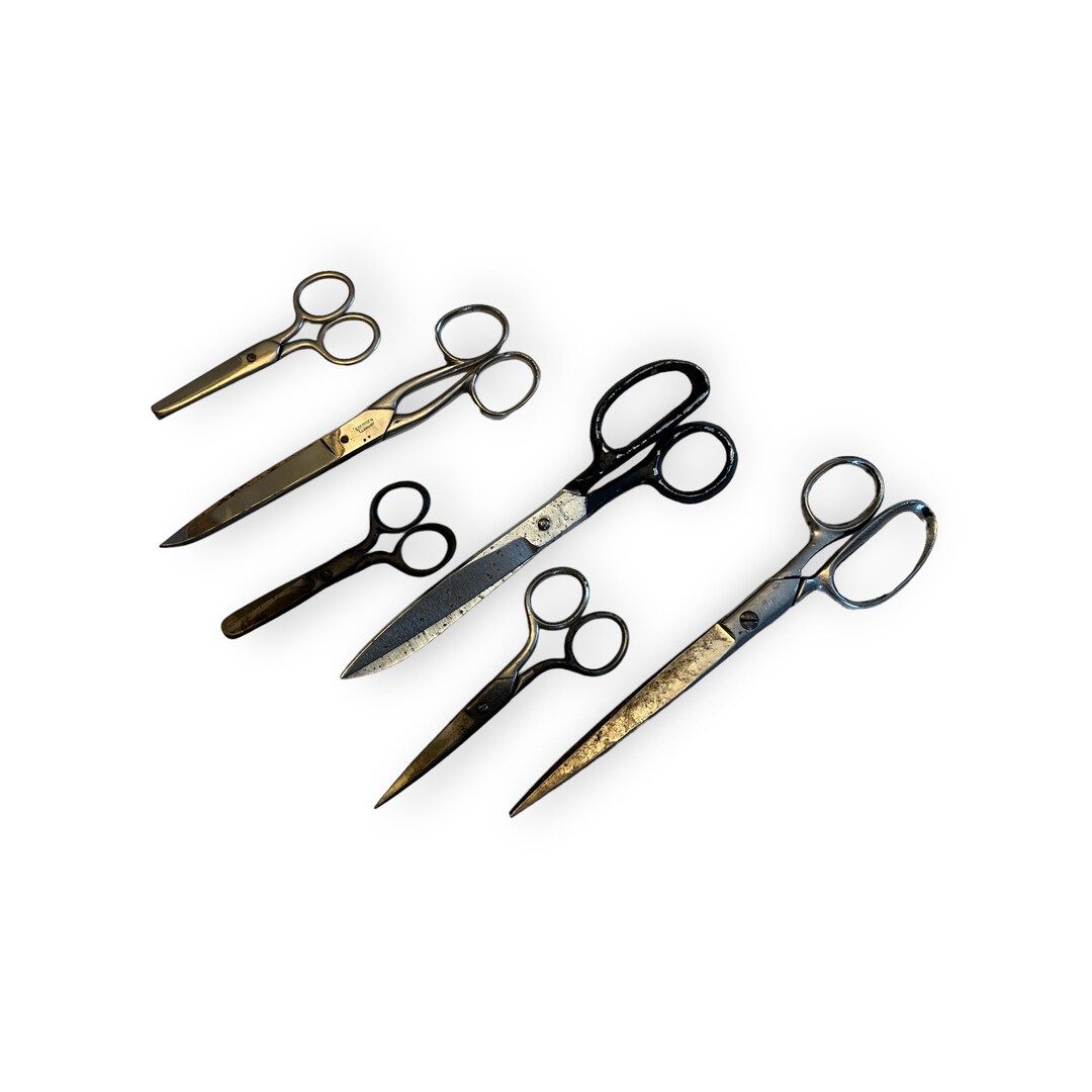 Collection of Vintage Scissors. Display Upcycle Crafting/ Etsy