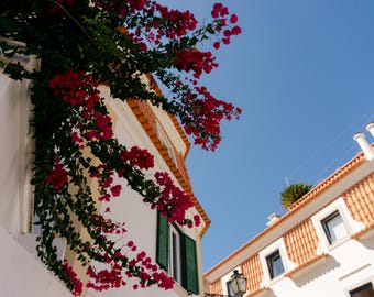 Bougainvillea | Cascais, Portugal | Reisefotografie | Digitaldruck