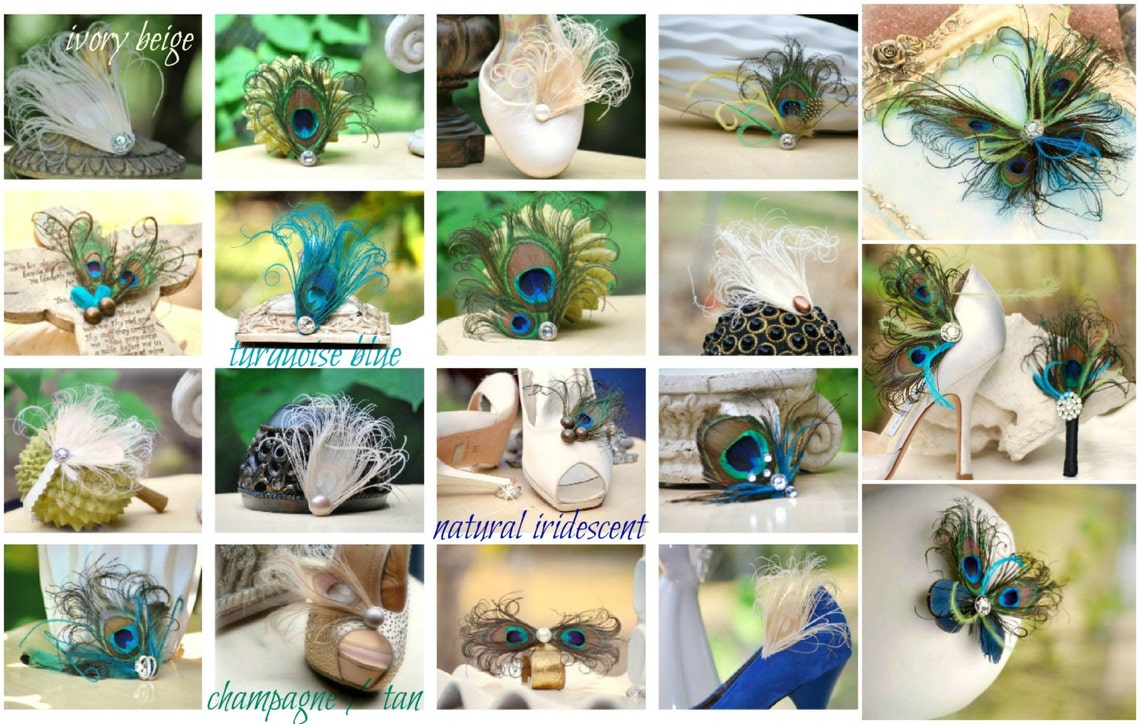Fancy Shoe Clips Peacock Feathers Duo & Rhinestone. Night Out Etsy