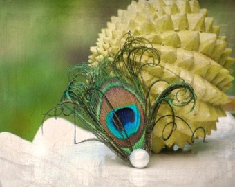 Pearl & Peacock Feather Hair Clip / Comb / Bobby Pin. Simple Classy Clip, Bridal Accessory. Preppy Girly Teen Pin, Birthday Party Fascinator