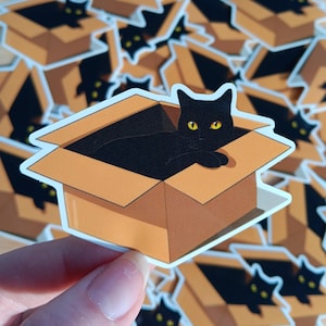 If I fits I sits cat sticker, cute sticker, computer sticker cat, laptop sticker, water bottle sticker, pet lover sticker, vinyl sticker