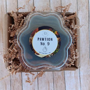 Pfötchen Nr. 9 | Apotheker Sojawachs Melts | Katzenmotiv | Unheimlich gruselige Wachs Melt Glasperle | Haustier-Liebhaber-Geschenk | Umweltfreundliche duftende Melts