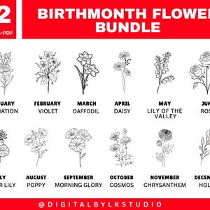 Birth Month Flower svg Bundle | 12 Floral Line Art Clipart | Printable Flowers PNG PDF | Zodiac Birthday SVG Set | Digital Florals