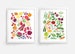 Fruits and Vegetables Prints - Set of 2 (8 x 10) 