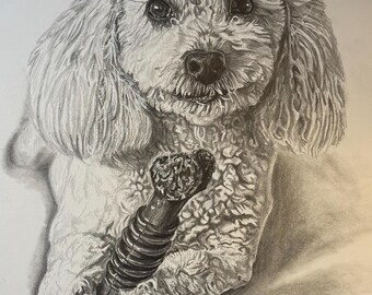 Hand-drawn pet and animal portraits