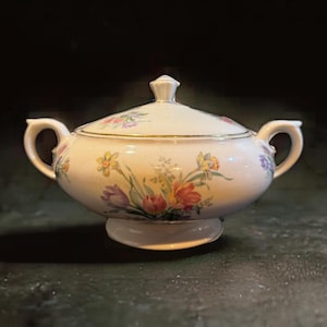 Lamberton Scammell China vintage ceramic tureen with lid. Marked with back stamp.