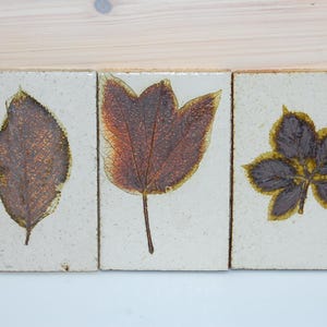 Baldosa cerámica Roger Capron Vallauris - motivos botánicos años 70 - 13,5 cm x 9 cm