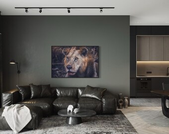 Lion Portrait Wall Art – Stunning Wildlife Digital Print | Downloadable Safari Theme Decor | 5 for 1 Price Digital Prints & Wallpapers