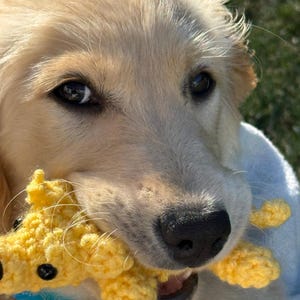 Puppy Crochet Plushie