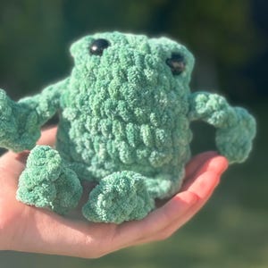 Frog Crochet Plushie