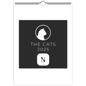 2025 Cat Art Calendar, Cat Illustrations Calendar, Colourful Art Planner ,Monthly Calendar, home decor , A4, calendar 2025 planner