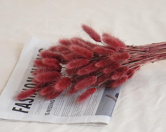 Ramo de hierba seca de cola de conejo color burdeos estilo bohemio / Materiales florales para manualidades / Hierba seca de cola de conejo (10-100 tallos)