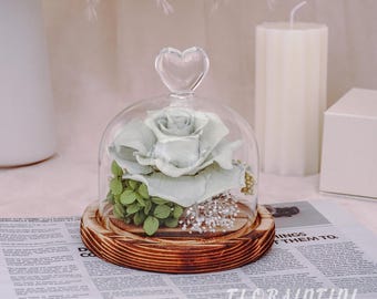 Glazen stolp avocado groene roos eeuwige bloem/Frankrijk originele decoratie/Boho bruiloft midden tafel gedroogde bloem versieren/cadeau voor haar