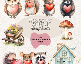 Woodland Animals Watercolour Clipart PNG  (Digital Download)