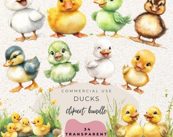 Duck Watercolour Clipart PNG  (Digital Download)