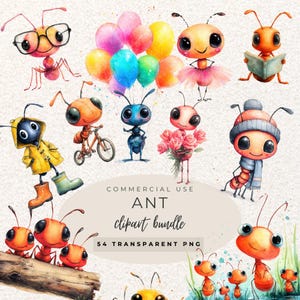 Ant Watercolour Clipart PNG  (Digital Download)