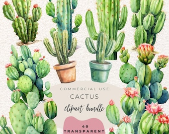 Cactus Watercolour Clipart PNG  (Digital Download)