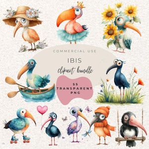 Ibis Clipart Watercolour PNG l Bird Clipart l Bird Ibis Birthday Invitation l Baby Shower l Nursery Clipart l Junk Journal l Baby Bird