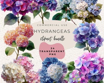 Hydrangeas Watercolour Clipart PNG  (Digital Download)