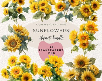 Sunflowers Floral Bouquets Watercolour Clipart PNG  (Digital Download)