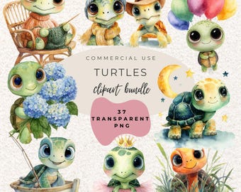 Clipart acquerello tartaruga PNG (download digitale)