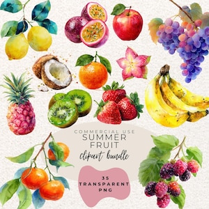 Summer Fruit Watercolour Clipart PNG l Summer Party Fun Clipart l Lemon l Banana l Orange l Apple l Mango l Baby Shower l High Kitchen Tea