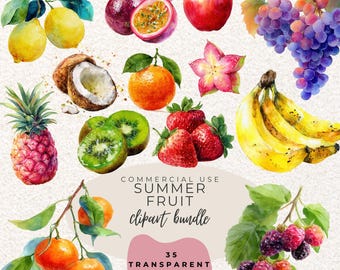 Sommer Obst Aquarell Clipart PNG (digitaler Download)