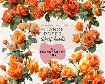 Orange Roses Watercolour Clipart PNG  (Digital Download)