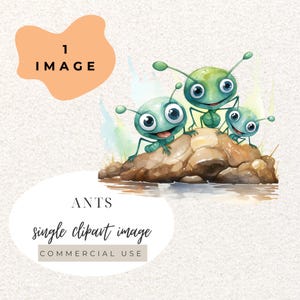 Ant Watercolour Clipart PNG  (Digital Download)