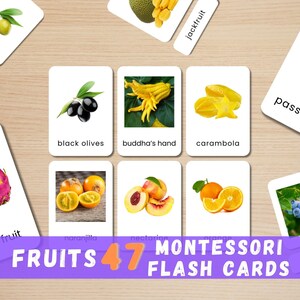 47 Fruit Flashcards | Real Photo Montessori Cards | Printable Fruit Identification | Healthy Eating Learning | Instant Download