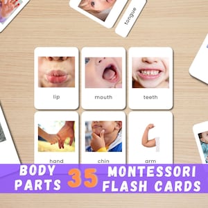 35 tarjetas didácticas con partes del cuerpo en fotografías reales para niños pequeños / Materiales de aprendizaje Montessori / Tarjetas preescolares de anatomía humana / Descarga instantánea