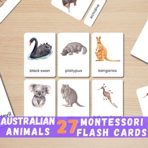 27 schede didattiche sugli animali australiani / Schede Montessori acquerellabili / Fauna selvatica autoctona / Set di apprendimento stampabile / Download immediato