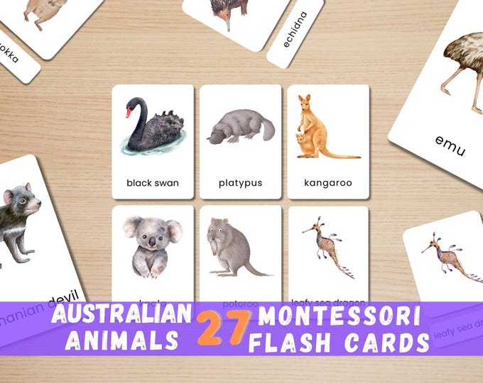 27 Australian Animal Flashcards | Watercolor Montessori Cards | Native Wildlife | Printable Learning Set | Instant Download