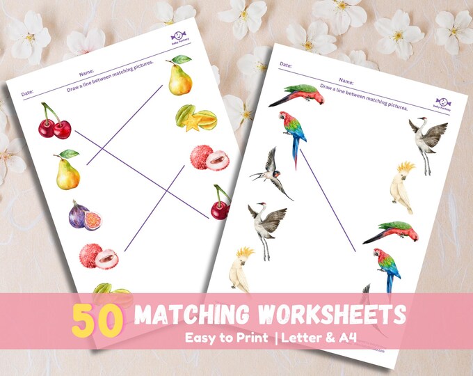 Kids Matching Game: Fruits, Animals, Dinosaurs - Preschool Learning (Digital Download)