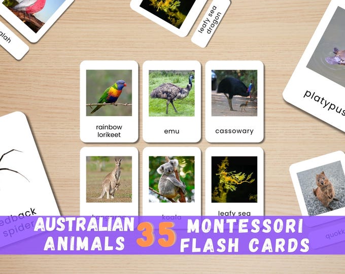 Australian Animal Flashcards: Montessori Learning Cards (Printable)