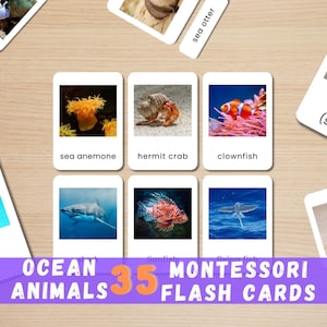 35 tarjetas didácticas de animales del océano / Tarjetas Montessori con fotos reales / Aprendizaje de la vida marina / Actividad preescolar / Descarga instantánea imprimible
