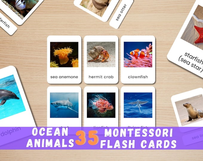 35 Ocean Animal Flashcards: Real Photo Montessori Cards (Printable Instant Download)