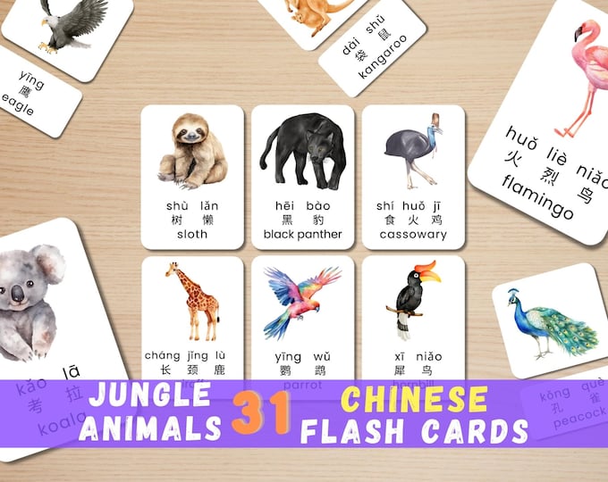 Jungle Animal Chinese Flashcards: Montessori Bilingual Learning (Digital Download)